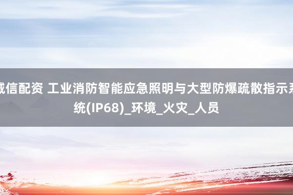诚信配资 工业消防智能应急照明与大型防爆疏散指示系统(IP68)_环境_火灾_人员