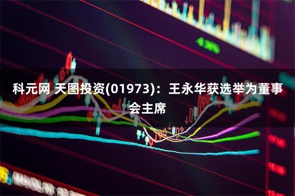 科元网 天图投资(01973)：王永华获选举为董事会主席